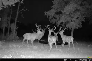 2524 Sandy Fork Rd, Harwood, TX 78616 - Photo 36