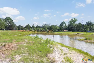 2524 Sandy Fork Road, Harwood, TX 78616 - Photo 6
