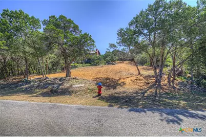 1919 Lakeshore Drive, Canyon Lake, TX 78133 - Photo 2