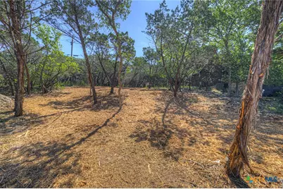 1919 Lakeshore Drive, Canyon Lake, TX 78133 - Photo 12