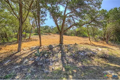 1919 Lakeshore Drive, Canyon Lake, TX 78133 - Photo 8
