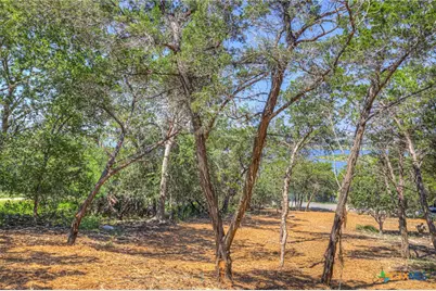 1919 Lakeshore Drive, Canyon Lake, TX 78133 - Photo 14