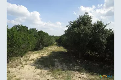 3246 Hawthorne Road, Spring Branch, TX 78070 - Photo 8