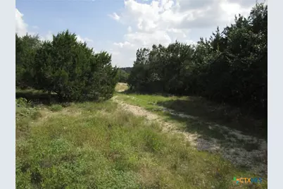 3246 Hawthorne Road, Spring Branch, TX 78070 - Photo 6