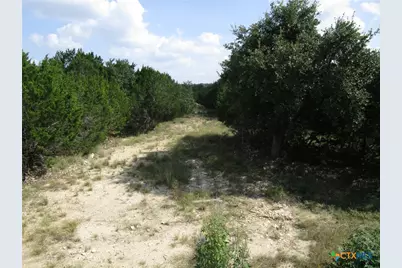 3246 Hawthorne Road, Spring Branch, TX 78070 - Photo 10