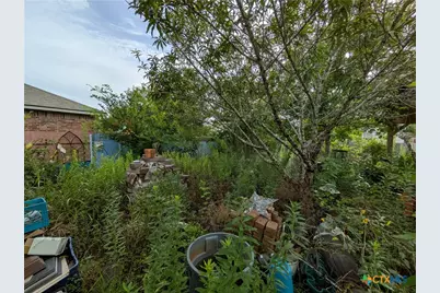 129 Hanstrom Drive, Hutto, TX 78634 - Photo 46