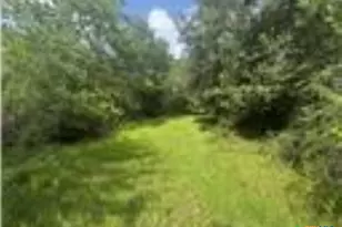 0 Dewberry Ln, Louise, TX 77455 - Photo 4