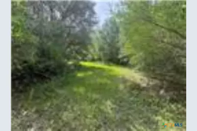 0 Dewberry Lane, Louise, TX 77455 - Photo 2