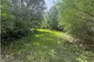 0 Dewberry Ln, Louise, TX 77455 - Photo 2