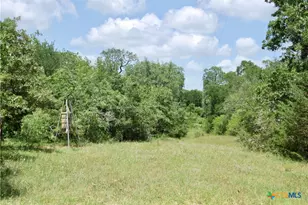 Tbd Cr 420, Waelder, TX 78959 - Photo 12