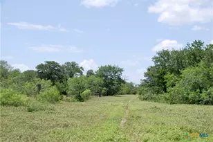 Tbd Cr 420, Waelder, TX 78959 - Photo 44