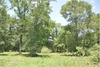 Tbd Cr 420, Waelder, TX 78959 - Photo 16