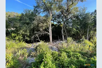 2111 Lakeview Drive, Canyon Lake, TX 78133 - Photo 6