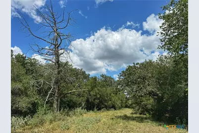 Tbd 10.24 Acres Highway 304, Harwood, TX 78632 - Photo 4