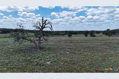 Tbd 10.24 Acres Highway 304, Harwood, TX 78632 - Photo 6