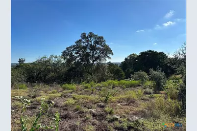 190 Spiritual Pass, Spring Branch, TX 78070 - Photo 14