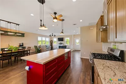459 E Ridge Lane, Kyle, TX 78640 - Photo 8