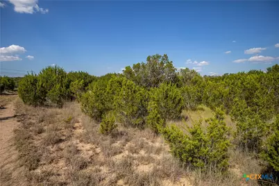 0 Wilson Branch Road, Killeen, TX 76542 - Photo 28