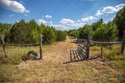 0 Wilson Branch Road, Killeen, TX 76542 - Photo 12