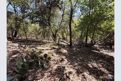 5943 Carriage Road, Temple, TX 76502 - Photo 22