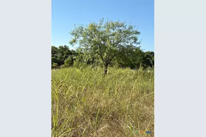 Tbd Lamotte Drive, Troy, TX 76579 - Photo 4