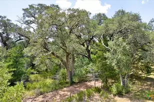 280 Hebron Church Rd, Yoakum, TX 77995 - Photo 10
