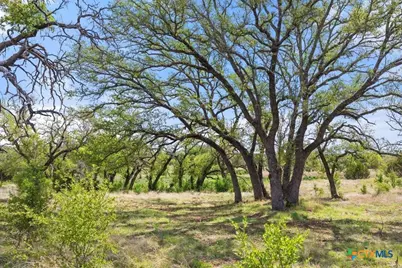 4772-11 County Road 340, Burnet, TX 78611 - Photo 18