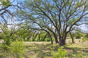 4772-11 County Road 340, Burnet, TX 78611 - Photo 18