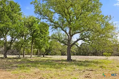 4772-11 County Road 340, Burnet, TX 78611 - Photo 6