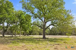 4772-11 County Road 340, Burnet, TX 78611 - Photo 6