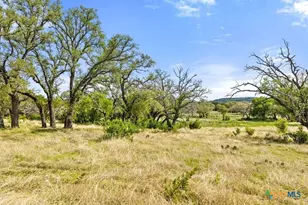 4772-11 County Road 340, Burnet, TX 78611 - Photo 8