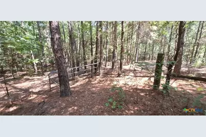 Tbd Red Maple Road, Big Sandy, TX 75755 - Photo 6