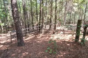 Tbd Red Maple Rd, Big Sandy, TX 75755 - Photo 6