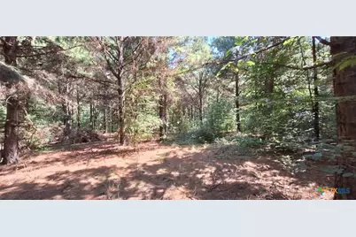 Tbd Red Maple Road, Big Sandy, TX 75755 - Photo 30