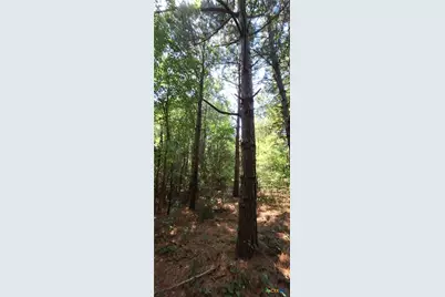 Tbd Red Maple Road, Big Sandy, TX 75755 - Photo 12