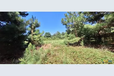 Tbd Red Maple Road, Big Sandy, TX 75755 - Photo 28