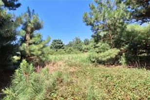 Tbd Red Maple Rd, Big Sandy, TX 75755 - Photo 28