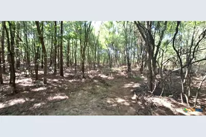 Tbd Red Maple Road, Big Sandy, TX 75755 - Photo 24