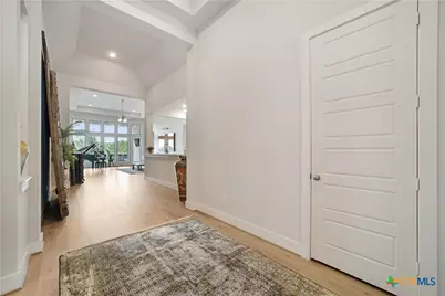 229 Majestic Sage Trail, San Marcos, TX 78666 - Photo 8