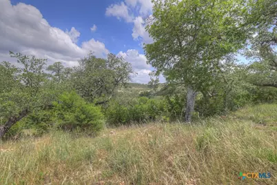 338 Sheridan Drive, Canyon Lake, TX 78133 - Photo 28