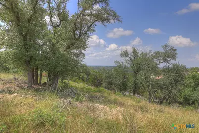 338 Sheridan Drive, Canyon Lake, TX 78133 - Photo 26