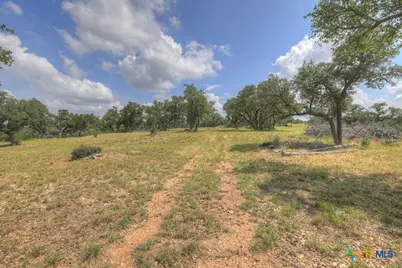 338 Sheridan Drive, Canyon Lake, TX 78133 - Photo 22