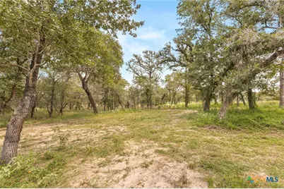 159 High Sierra Drive, Seguin, TX 78155 - Photo 22