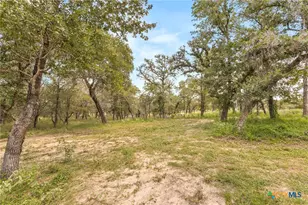 159 High Sierra Dr, Seguin, TX 78155 - Photo 22