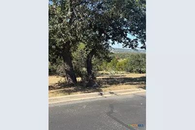 1279 Kings Cove Drive, Canyon Lake, TX 78133 - Photo 4