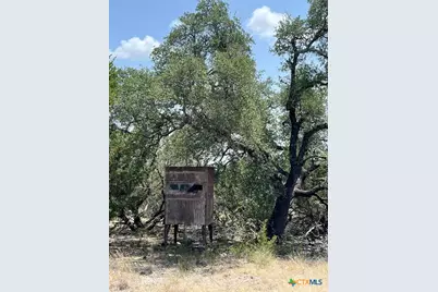 1580 County Road 2113 Road, Lometa, TX 76853 - Photo 8