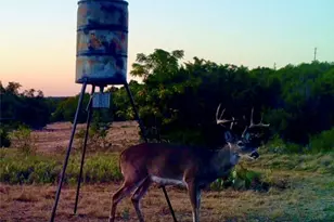 1580 County Road 2113 Rd, Lometa, TX 76853 - Photo 6