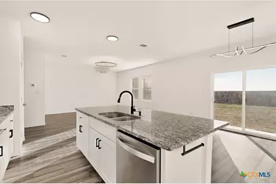 361 Wren Lane, Kyle, TX 78640 - Photo 10
