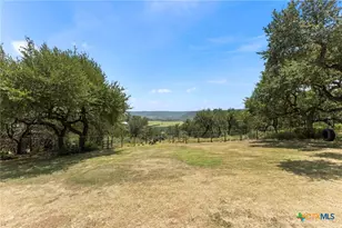 2700 Skyline Dr, Canyon Lake, TX 78133 - Photo 28