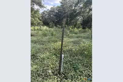 240 Private Road 4601 Road, Waelder, TX 78959 - Photo 4